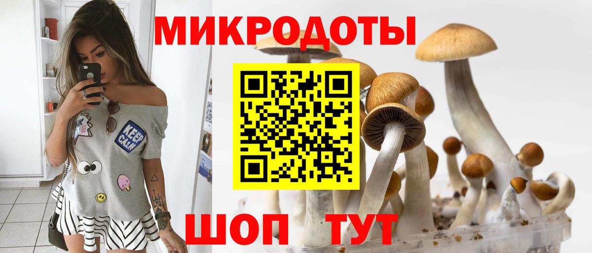 Псилоцибиновые грибы MAGIC MUSHROOMS Красноармейск